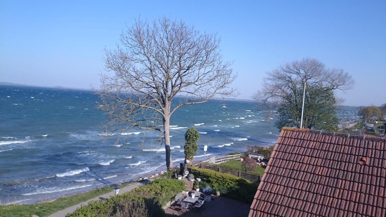 Strandappartements Steinberghaff "Kegnaes" Mit Meerblick Und Sauna Steinberg  Eksteriør billede