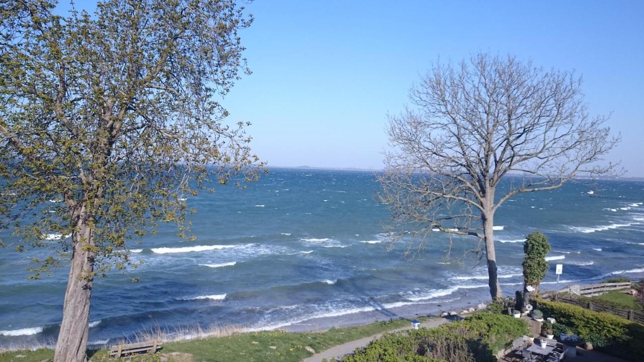 Strandappartements Steinberghaff "Kegnaes" Mit Meerblick Und Sauna Steinberg  Eksteriør billede