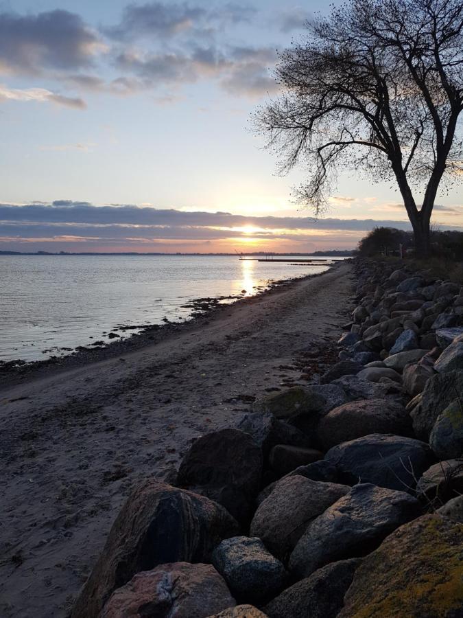 Strandappartements Steinberghaff "Kegnaes" Mit Meerblick Und Sauna Steinberg  Eksteriør billede