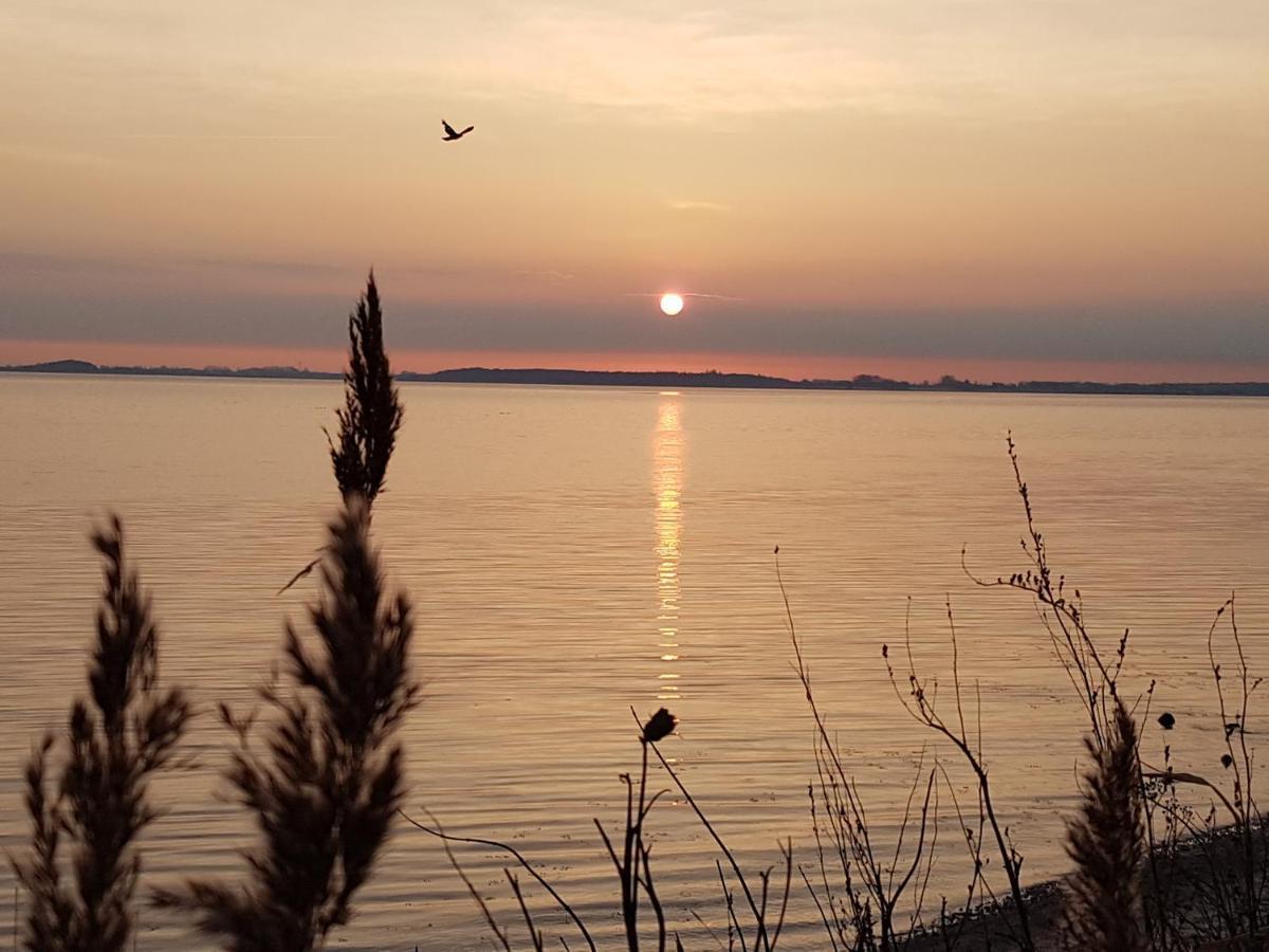Strandappartements Steinberghaff "Kegnaes" Mit Meerblick Und Sauna Steinberg  Eksteriør billede